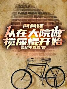 四合院我入住后大院乱套了笔趣阁全文